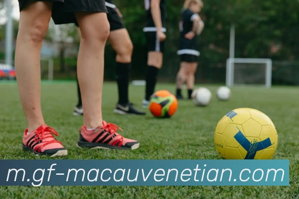 威尼斯人线上娱乐平台生态图