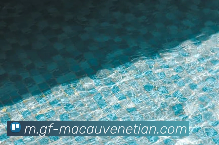 威尼斯人线上娱乐APP 封面图